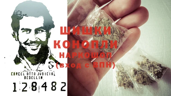 гашик Нягань