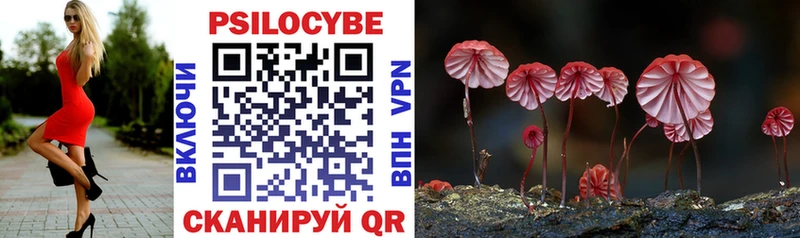 мега ССЫЛКА  Зея  Галлюциногенные грибы Psilocybe 