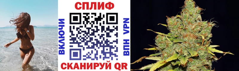 Марихуана White Widow  Зея 